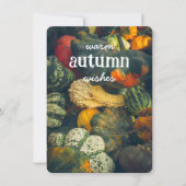 カラフルな秋のスカッシュとパンプキン シーズンカード (正面)
