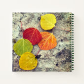 カラフルな秋のポプラの葉の写真 パーソナライズ ノートブック (裏面)