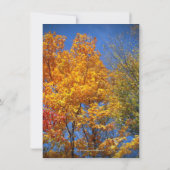 カラフルな秋の木々がお知らせします 招待状 (裏面)