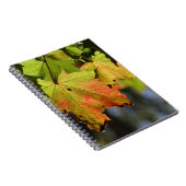 カラフルな秋の落ち葉 ノートブック (右側)