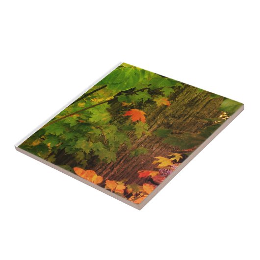 カラフルな秋の葉 タイル (側面)