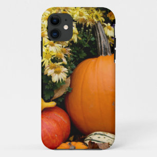 カラフルな秋の装飾用カボチャのディスプレイ iPhone 11 ケース