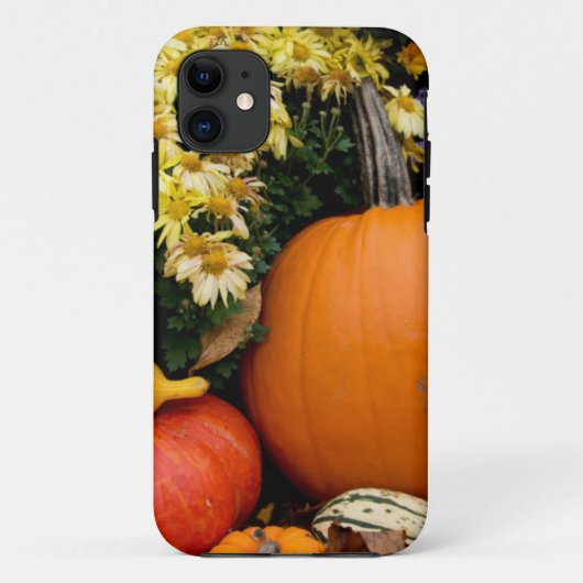 カラフルな秋の装飾用カボチャのディスプレイ Case-Mate iPhoneケース (裏面)