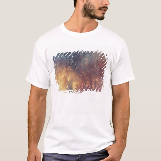 カラフルな秋 Tシャツ (正面)