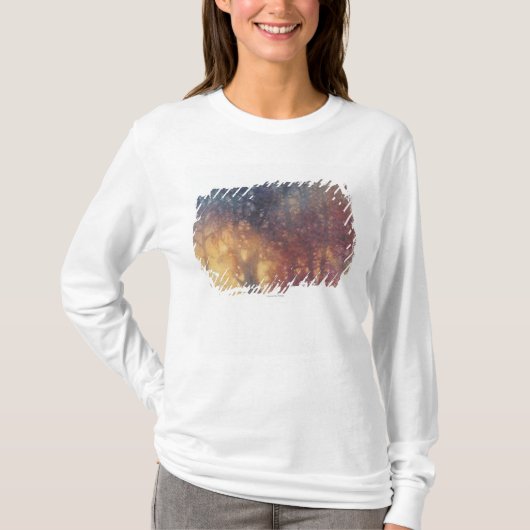 カラフルな秋 Tシャツ (正面)