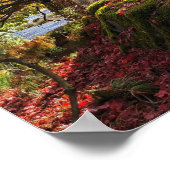 カラフルな紅葉と樹木の風景 ポスター (角)