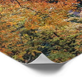 カラフルな紅葉の写真 ポスター (角)
