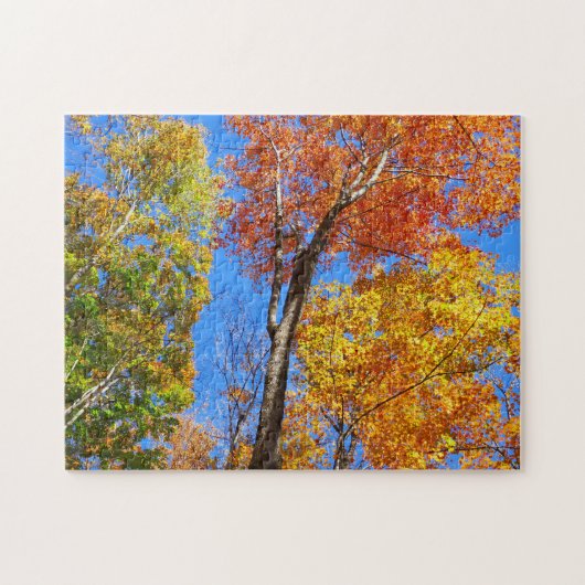 カラフルな紅葉の木の3つの色合い ジグソーパズル (横)