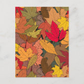 カラフルな紅葉 ポストカード (正面)