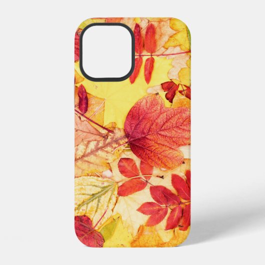 カラフルな紅葉。落ち葉の模様。 iPhoneケース (裏面)