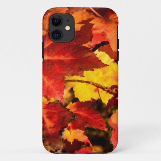 カラフルな紅葉、金赤オレンジのカエデの葉 Case-Mate iPhoneケース (裏面)