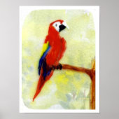 カラフルな絵画 コンゴウインコ ポスター (正面)