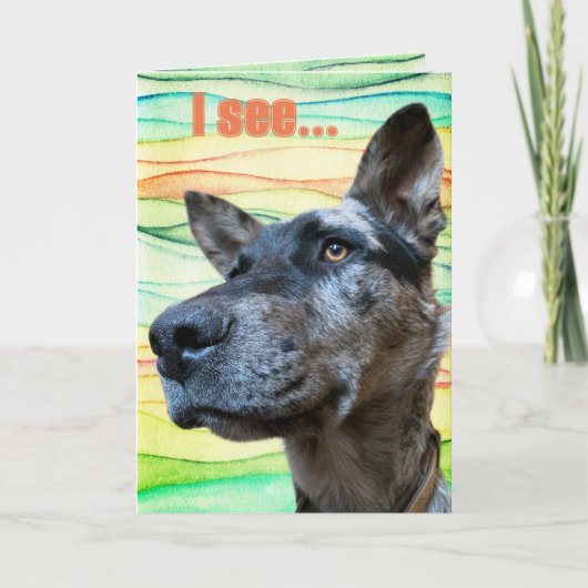 カラフルな背景の面白い牛飼い犬の顔の写真 カード (正面)