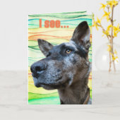 カラフルな背景の面白い牛飼い犬の顔の写真 カード (黄色い花)