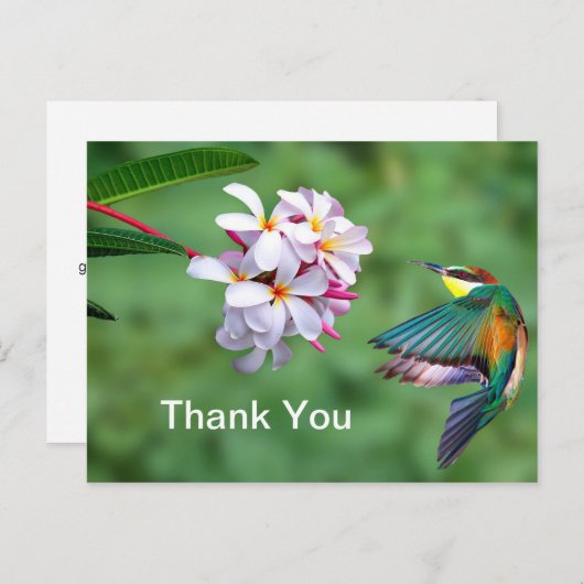 カラフルな花の写真をありがとう ワイルドライフ ビーイーター ポストカード (正面/裏面)