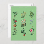 カラフルな花、果物、野菜のイラスト ポストカード (正面/裏面)