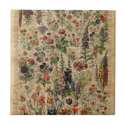 カラフルな草原によってはハーブ辞書の芸術が開花します タイル (正面)
