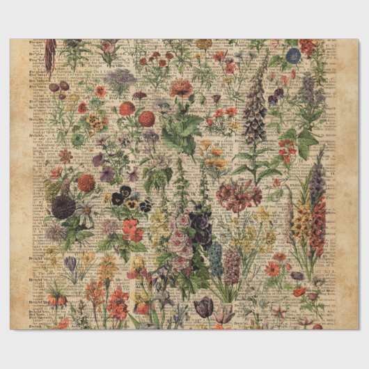 カラフルな草原によってはハーブ辞書の芸術が開花します ラッピングペーパー (フラット)