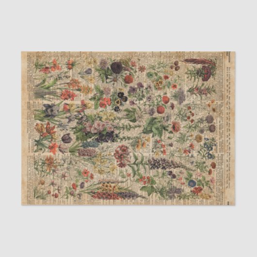 カラフルな草原によってはハーブ辞書の芸術が開花します 薄葉紙 (正面)