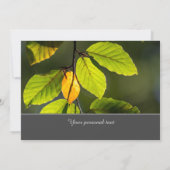 カラフルな葉の付いた魅惑的な招待状 招待状 (裏面)