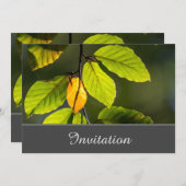 カラフルな葉の装飾が施された魅惑的な招待状 招待状 (正面/裏面)