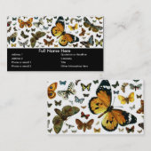 カラフルな蝶古書売買のイメージのしおり 名刺 (正面/裏面)