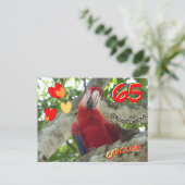 カラフルな赤いインコの65歳誕生日ポストカード ポストカード (スタンド正面)