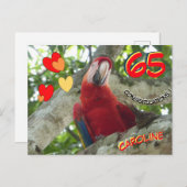 カラフルな赤いインコの65歳誕生日ポストカード ポストカード (正面/裏面)
