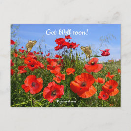 カラフルな赤いケシの花畑 快復のお祈り ポストカード