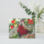 カラフルな赤いパラオ 75歳の誕生日ポストカード ポストカード (スタンド正面)