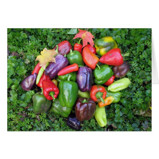 カラフルな野菜およびかえでの葉 (正面横)