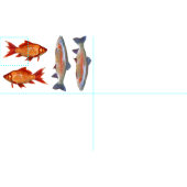 カラフルな魚の脂肪四分の一 ファブリック (タイル)