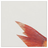 カラフルな魚の脂肪四分の一 ファブリック (クローズアップ)