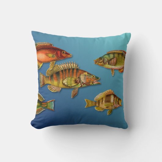 カラフルな魚 クッション (正面)