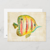 カラフルな魚 ポストカード (正面/裏面)