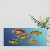 カラフルな魚 招待状 (スタンド正面)