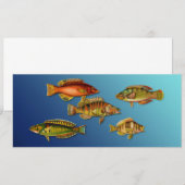 カラフルな魚 招待状 (正面/裏面)