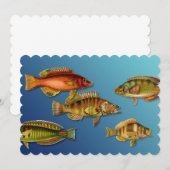 カラフルな魚 招待状 (正面/裏面)