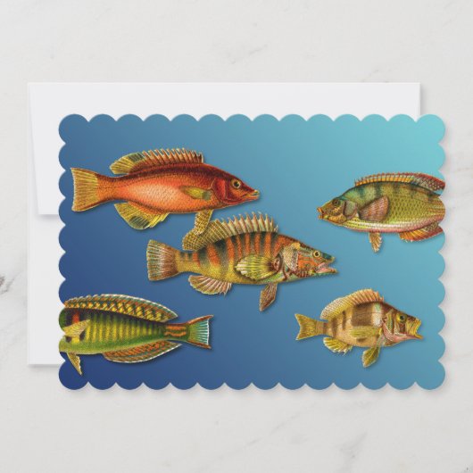 カラフルな魚 招待状 (正面)
