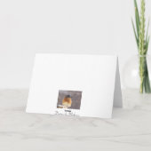 カラフルな鳥のコラージュ シーズンカード (裏面)