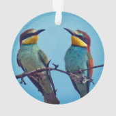 カラフルな鳥の写真のオーダーメイド オーナメント (裏面)