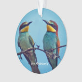 カラフルな鳥の写真のオーダーメイド オーナメント (正面)