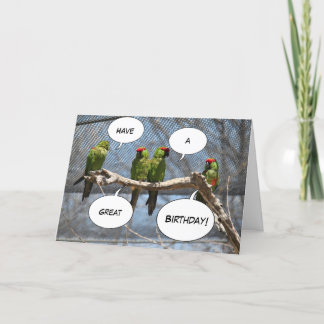 カラフルな鳥の挨拶状 カード
