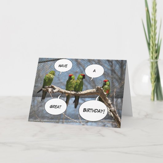 カラフルな鳥の挨拶状 カード (正面)