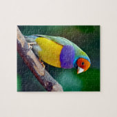 カラフルなgouldianフィンチ ジグソーパズル (横)