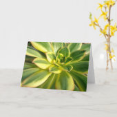 カラフルなSucculent #2のメッセージカード カード (黄色い花)