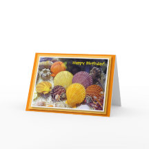 カラフルの貝のバースデー・カード