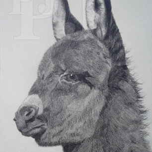 カラフルの風光明媚な生き生きとした写真かわいいロバ 腕時計