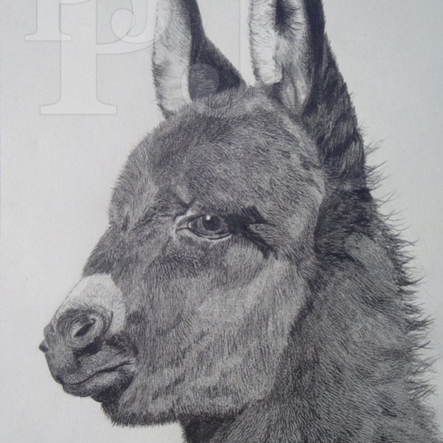 カラフルの風光明媚な生き生きとした写真かわいいロバ 腕時計 (クリエイターアップロード済み)