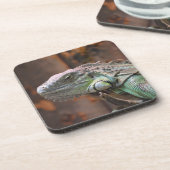 カラフルイグアナ・リザード付きコルクコースター コースター (左側)